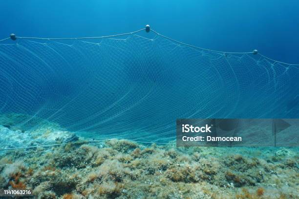 Underwater Sea Fishing Net Gillnet On The Seabed Stock Photo