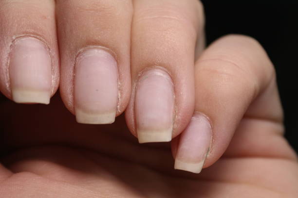 istock glamorous manicure of nails 1141063310