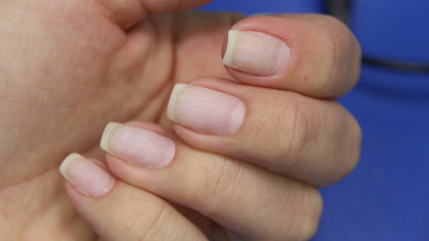 istock stylish design of manicure 1141063806