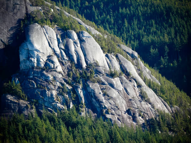 montanhas rochosas fragmentar árvores dia ensolarado natureza sem pessoas - vancouver green forest ravine - fotografias e filmes do acervo