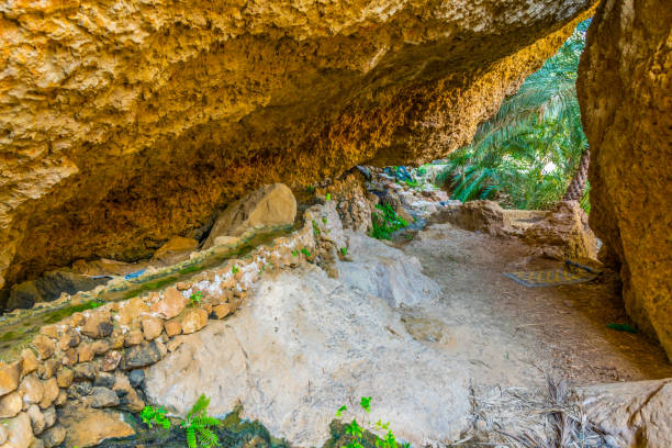 blick auf eine oase mit typischem falaj-bewässerungssystem im wadi tiwi in oman. - tiwi stock-fotos und bilder