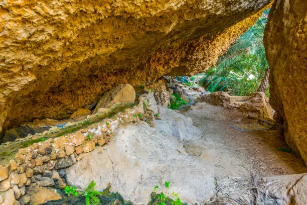 Photo of View of an oasis with typical falaj irrigation system in the Wadi Tiwi in Oman.