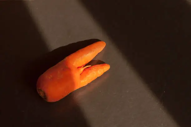 Photo of One non-standard ugly organic orange carrot in light on dark board background top view