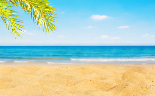 istock Beautiful Nature Summer Beach Background 1141068618