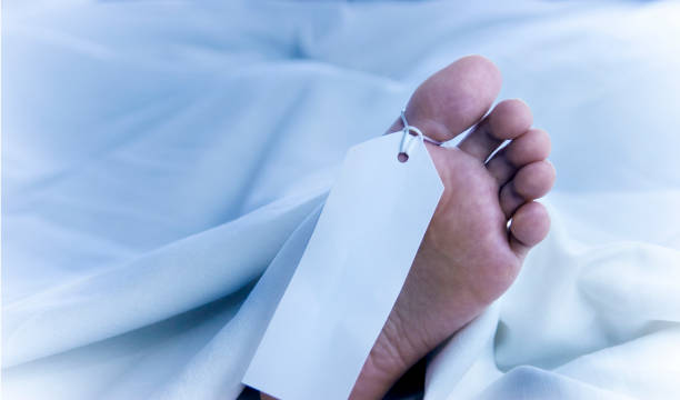 feet of a dead body, identification tag, close-up in white sheets - john deer imagens e fotografias de stock