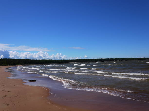istock Gulf of Finland coast. 1141072141
