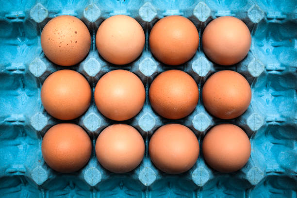 Eggs Fresh organic eggs in cardboard tray number 12 photos stock pictures, royalty-free photos & images