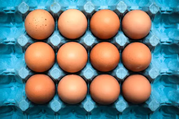 Photo of Eggs