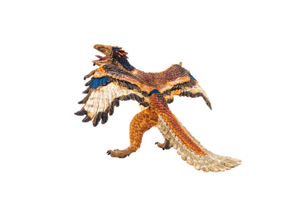 istock Archaeopteryx  , Dinosaur on white background . 1141077038