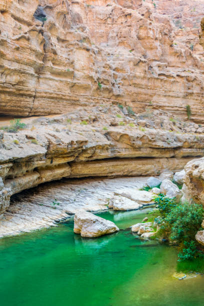 wadi shab in oman è un luogo popolare per i visitatori che vogliono nuotare liberamente in un'oasi remota. - oasis wadi al shab valley canyon foto e immagini stock