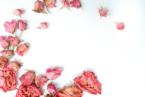 istock Floral pattern from natural rose petals 1141078407