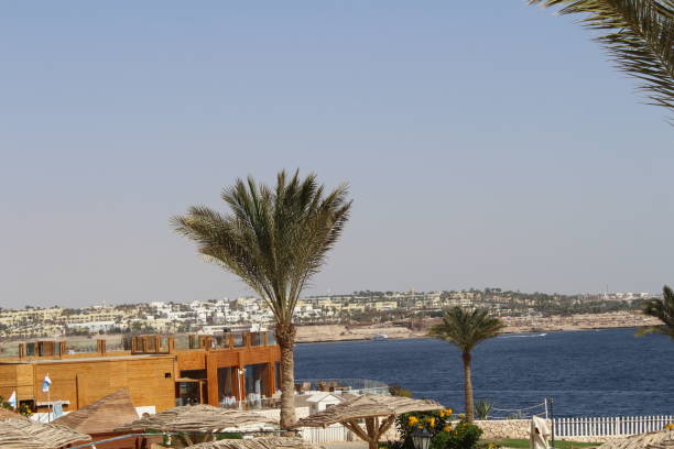 istock Beautiful places in Egypt. 1141078469