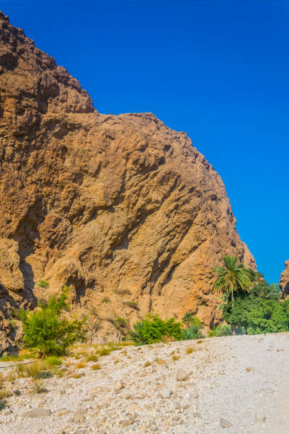 wadi shab in oman è un luogo popolare per i visitatori che vogliono nuotare liberamente in un'oasi remota. - oasis wadi al shab valley canyon foto e immagini stock