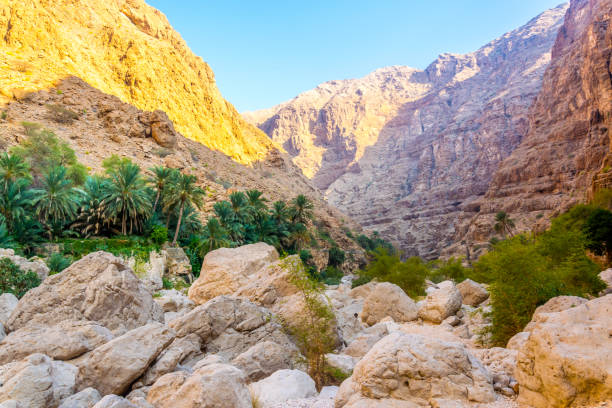 wadi shab in oman ist ein beliebter ort für besucher, die in einer abgelegenen oase frei schwimmen wollen. - tiwi stock-fotos und bilder