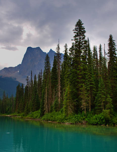 istock Emerald Lake on a cloudy day with its thawed lake. Summer and fun. Rocky mountain canada (Canadian Rockies). Portrait, fine art. Yoho National Park, British Columbia, Canada: August 3, 2018 1141078799