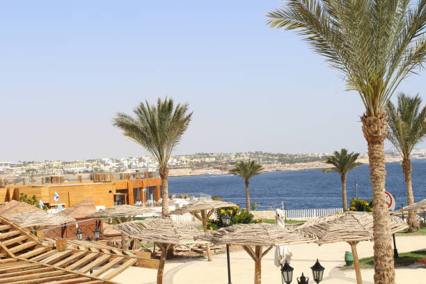 istock Beautiful places in Egypt. 1141078846