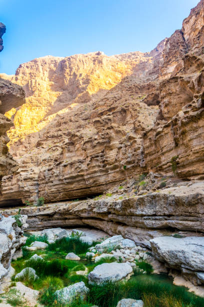 wadi shab in oman è un luogo popolare per i visitatori che vogliono nuotare liberamente in un'oasi remota. - oasis wadi al shab valley canyon foto e immagini stock