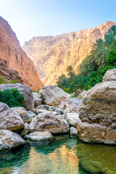 wadi shab in oman è un luogo popolare per i visitatori che vogliono nuotare liberamente in un'oasi remota. - oasis wadi al shab valley canyon foto e immagini stock