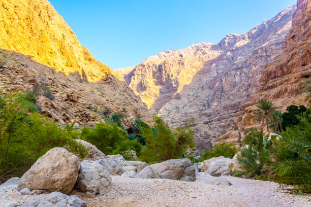 wadi shab in oman è un luogo popolare per i visitatori che vogliono nuotare liberamente in un'oasi remota. - oasis wadi al shab valley canyon foto e immagini stock