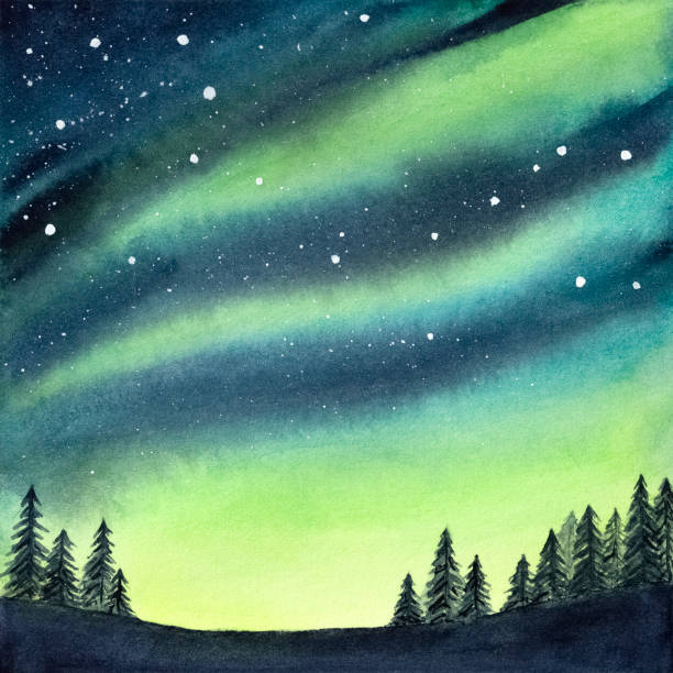 Watercolour illustration of peaceful serene spruce forest under colorful northern lights and night starry sky. Handdrawn water color gradient drawing, backdrop for creative design, print, wallpaper. Hand drawn watercolor illustration. boreal forest stock illustrations