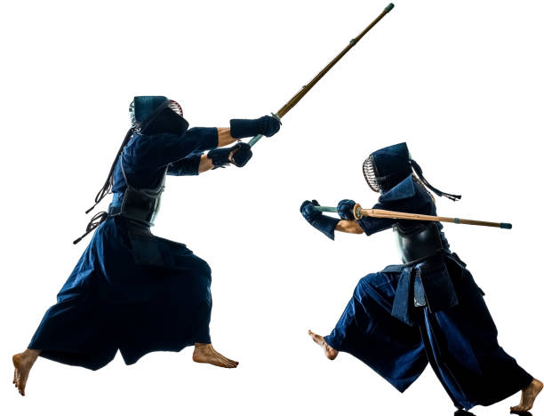 istock Kendo martial arts fighters silhouette isolated white bacground 1141083425