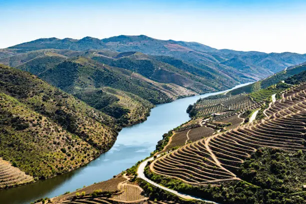 Photo of River Douro next to the mouth of the river Coa