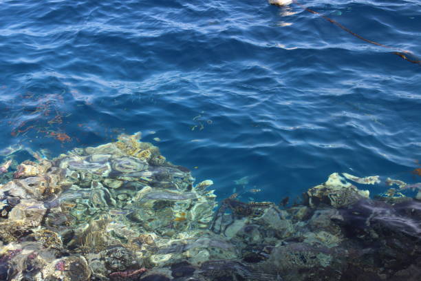 istock Sharm El Sheikh, Egypt, Sinai 1141083614