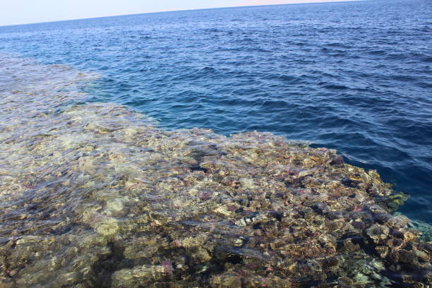 istock Sharm El Sheikh, Egypt, Sinai 1141083646