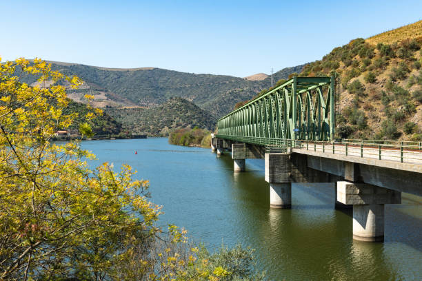 istock Douro valley view near the Ferradosa bridge 1141084427