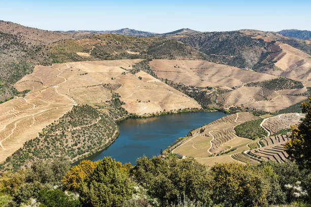 istock Viewpoint of Vargelas surrounding landscape 1141084868