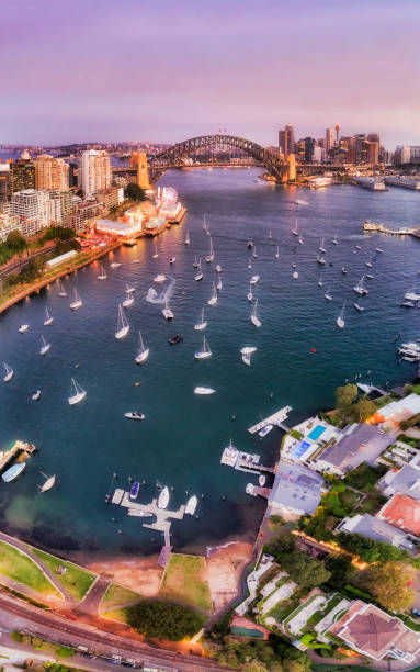 D SY Lavend set green Pan Surface of Lavender bay on Sydney harbour covered by floating yachts around jetties, wharfs and marina in view of the Sydney harbour bridge and major city landmarks in vertical sunset panorama. north shore stock pictures, royalty-free photos & images