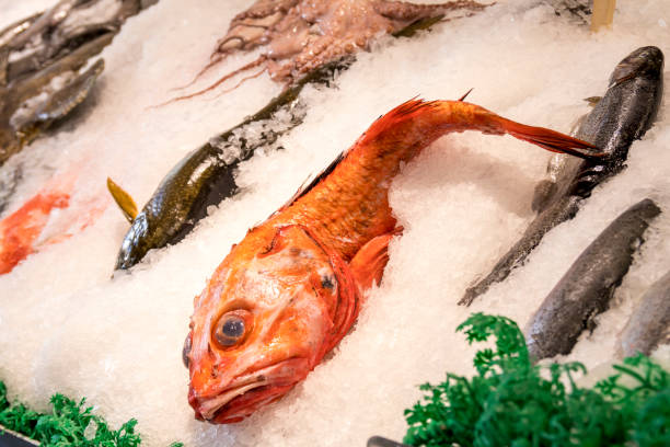 istock fresh seafood on ice at the fish market 1141089242