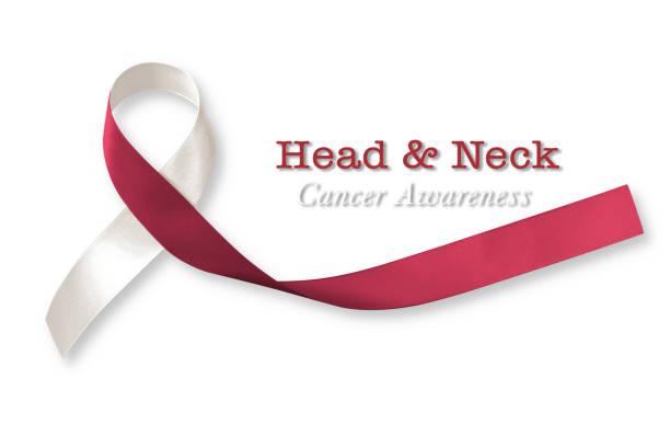Head and neck cancer symbolic burgundy ivory color ribbon awareness isolated on clipping path white background Head and neck cancer symbolic burgundy ivory color ribbon awareness isolated on clipping path white background epithelium photos stock pictures, royalty-free photos & images