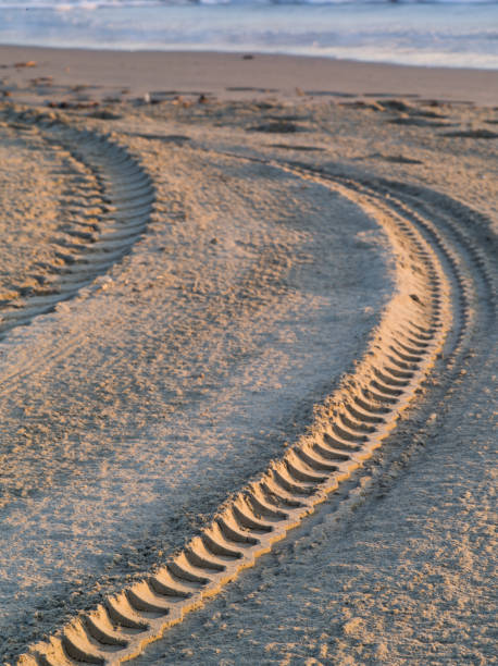 istock Tractor tyre tracks in beach sand 1141096504