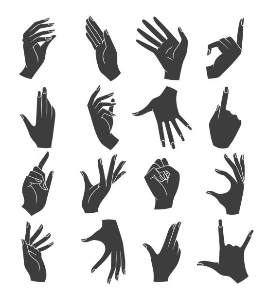 Uñas Largas Elegantes Vectores Libres de Derechos - iStock Uñas Largas Elegantes Vectores Libres de Derechos - iStock