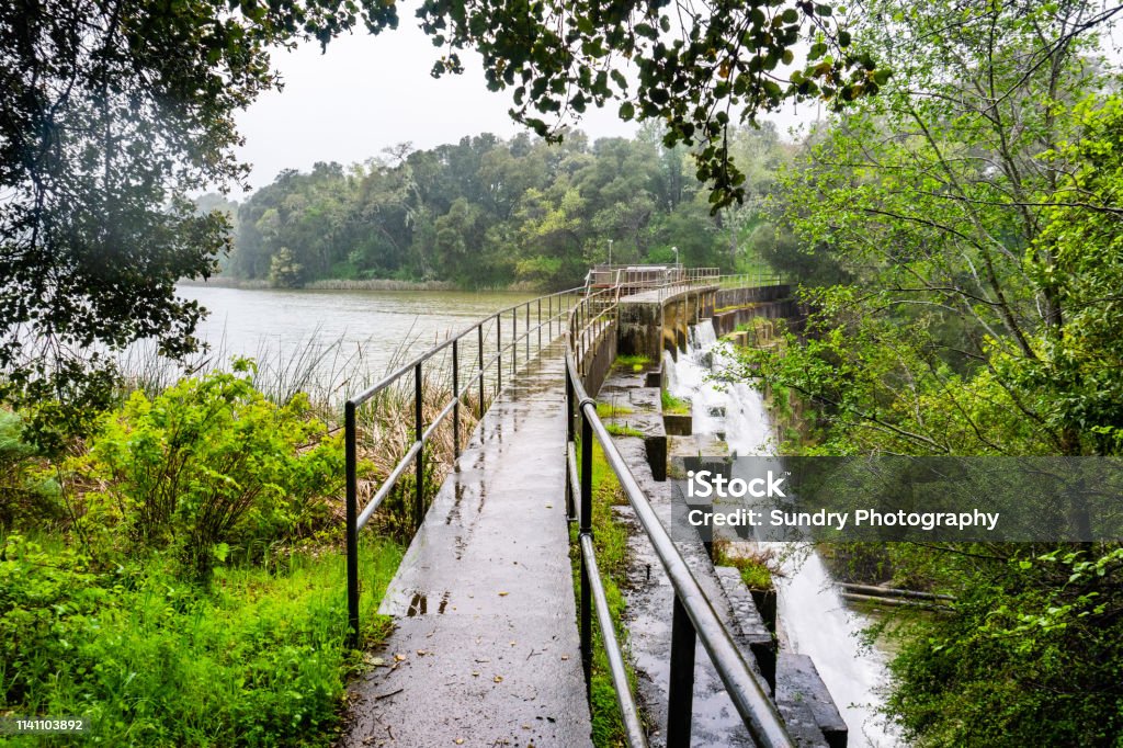 The dam at Searsville Lake located in Jasper Ridge Biological Preserve on a rainy day, San Francisco bay area, California California Stock Photo