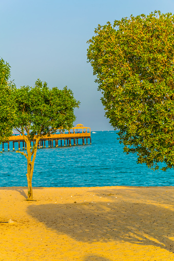 View of a beach with an orchard in the Kuwait city.