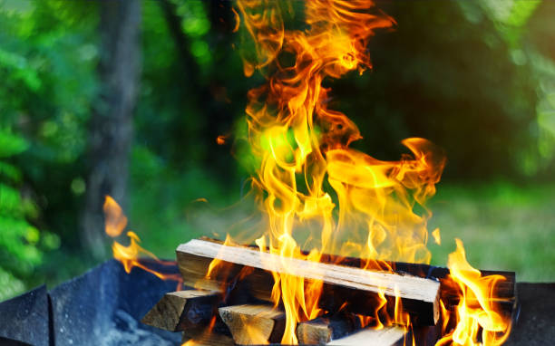 istock Beautiful bright yellow flame from slice wood coals inside metal brazier fire preparation cooking barbecue. 1141104669
