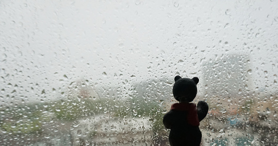 Canadian doll bear on the window. Raing outside