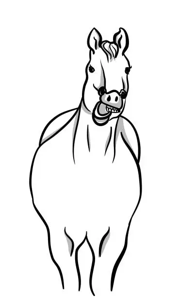 Vector illustration of Funny Horse Eating