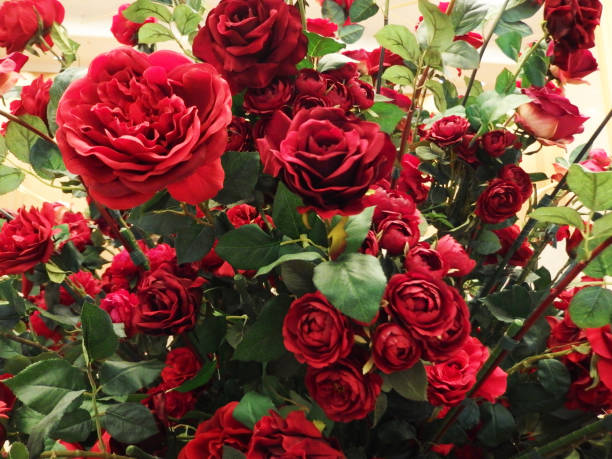 Many roses and flower art