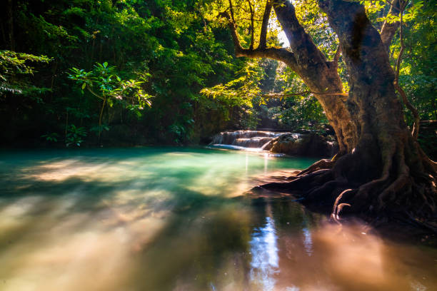 istock Erawan Waterfall in National Park, Thailand,Blue emerald color waterfall 1141110906