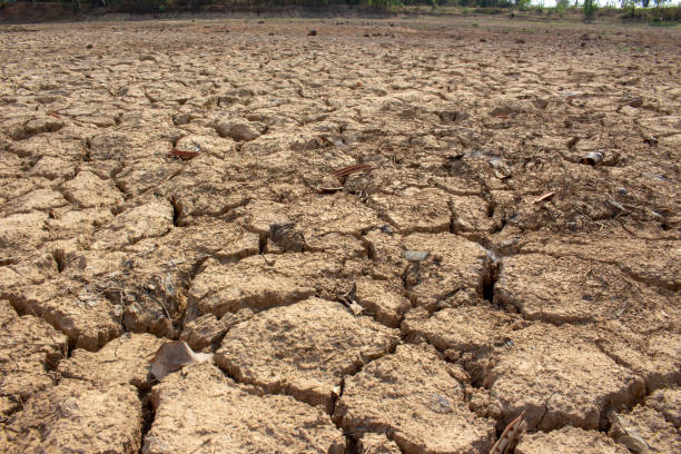 istock Land with dry and cracked ground 1141112348