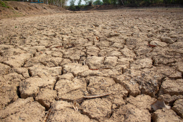 istock Land with dry and cracked ground 1141112397