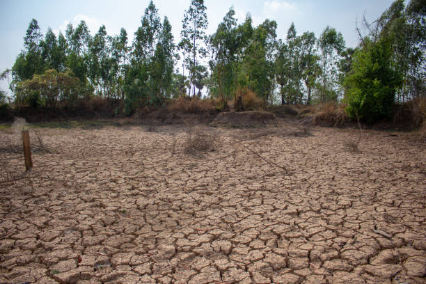 istock Land with dry and cracked ground 1141112410