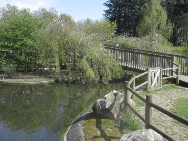 istock Pond in a public park  Wooden walkway 1141112578