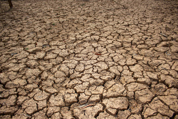 istock Land with dry and cracked ground 1141113277
