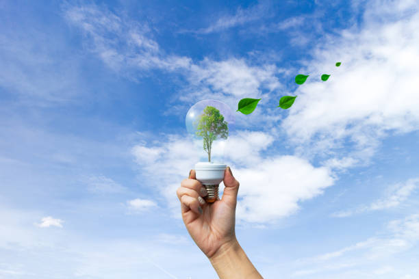 istock recyclable environment human hands holding big plant tree in light bulb with 1141118979