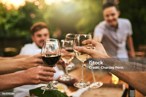 Jubel Zu Großen Erinnerungen Stockfoto und mehr Bilder von Wein - Wein, Einen Toast ausbringen, Freundschaft