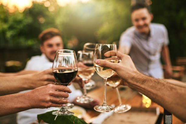 Cheers to great memories Shot of friends having a get together outdoors wine stock pictures, royalty-free photos & images